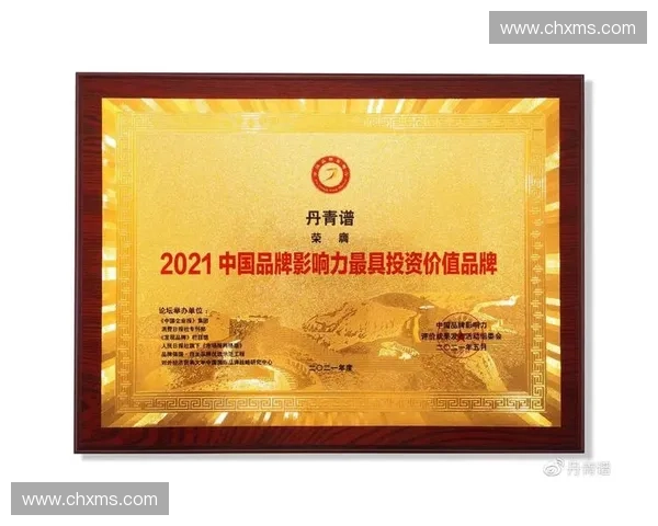 体育品牌战略升级与市场影响力全面提升研究与实践